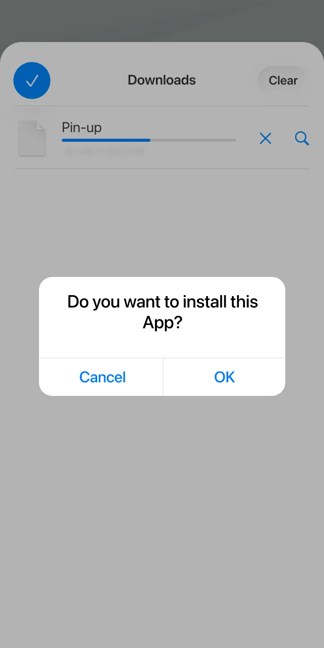 Continue following the instructions and install the app.